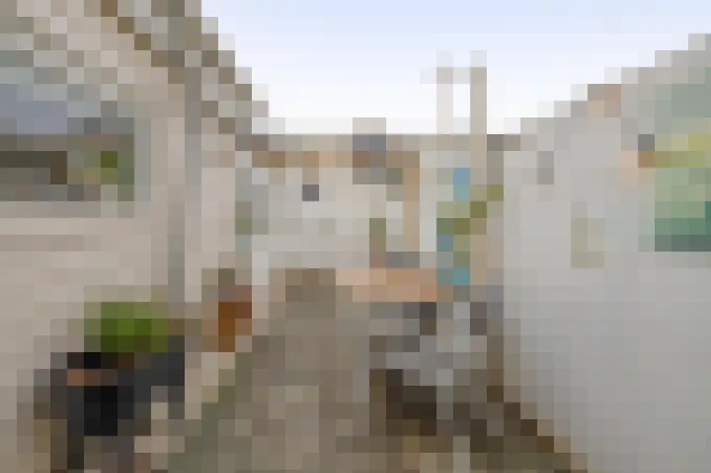 Bothastraat 32 Den Helder thumbnail 15