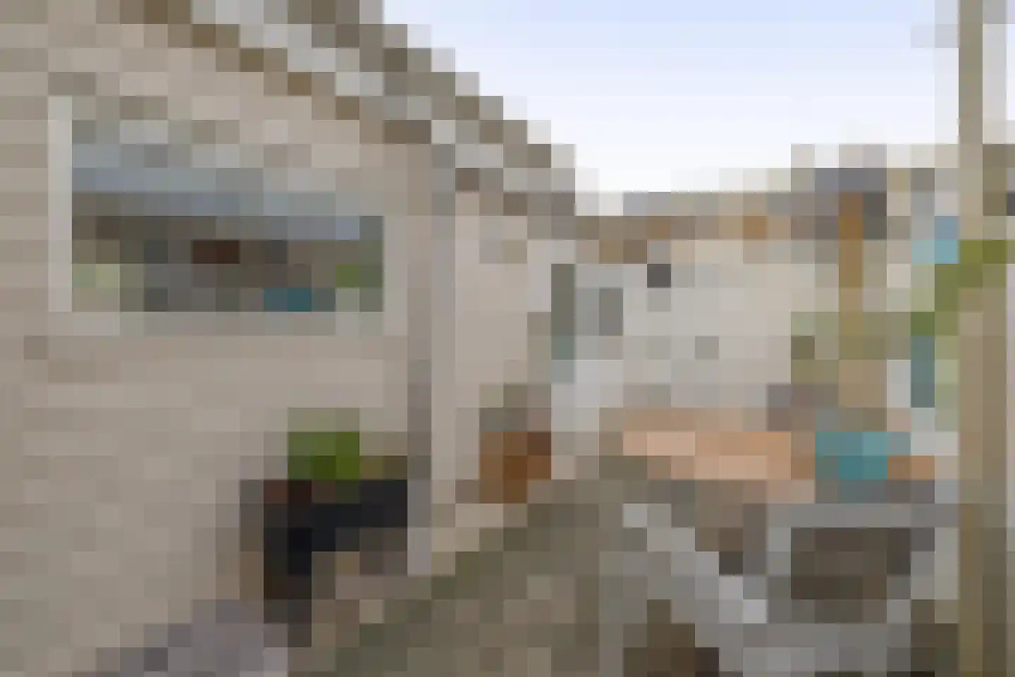 Bothastraat 32 Den Helder thumbnail 16