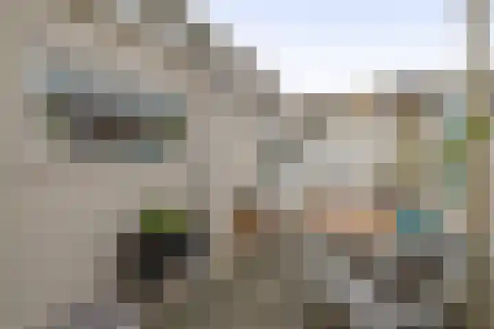 Bothastraat 32 Den Helder thumbnail 16