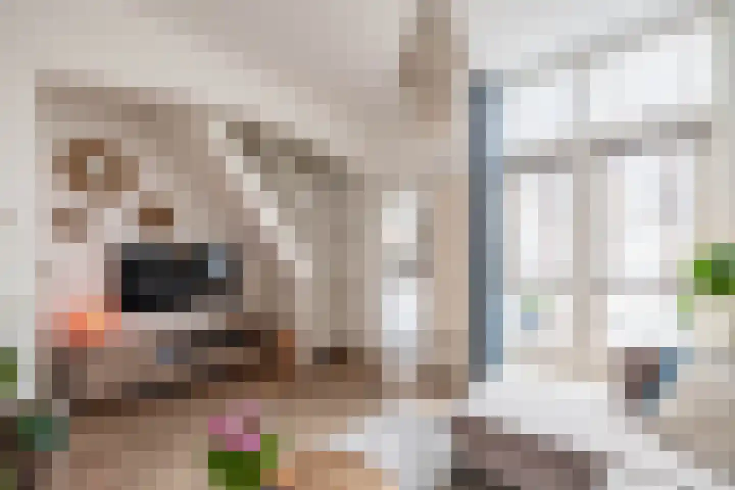 Bothastraat 32 Den Helder thumbnail 9