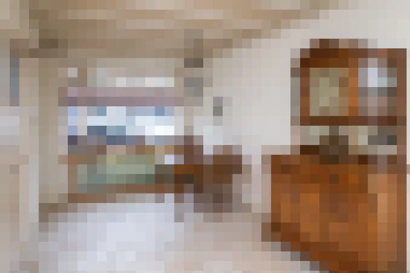 Bothastraat 4 Ridderkerk thumbnail 10