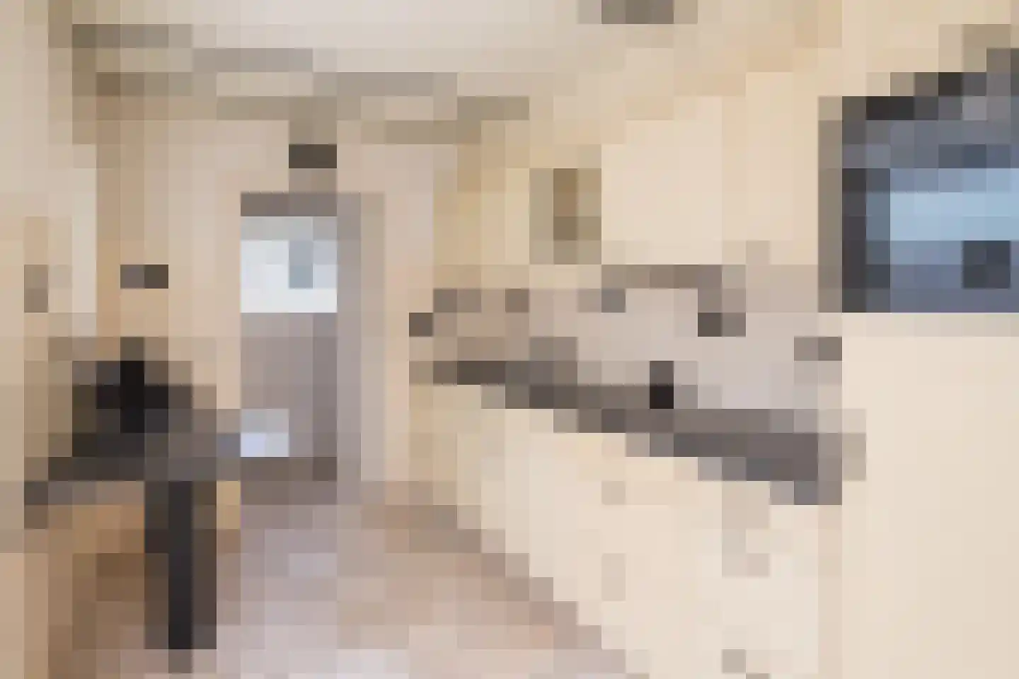 Bothastraat 4 Ridderkerk thumbnail 11