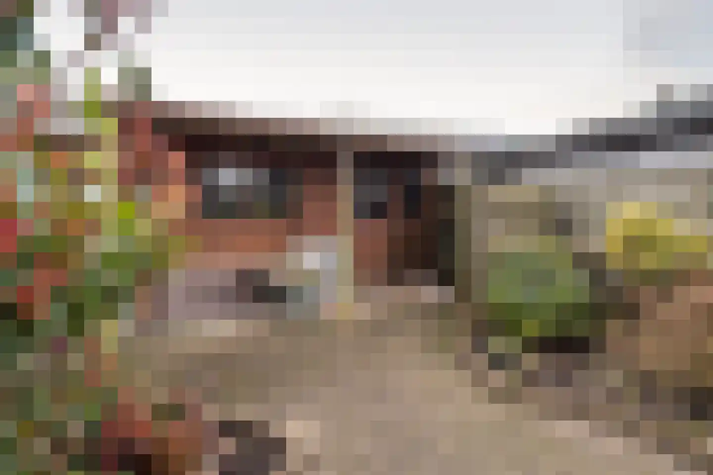 Bothastraat 4 Ridderkerk thumbnail 13