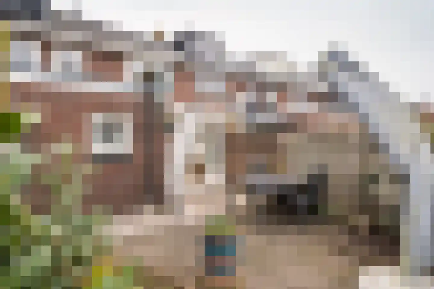 Bothastraat 4 Ridderkerk thumbnail 14