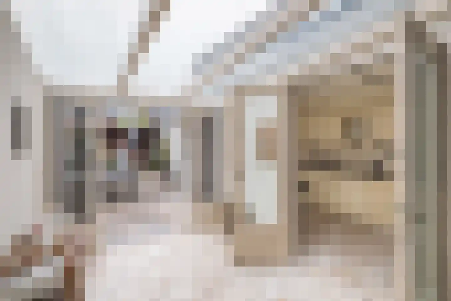 Bothastraat 4 Ridderkerk thumbnail 4