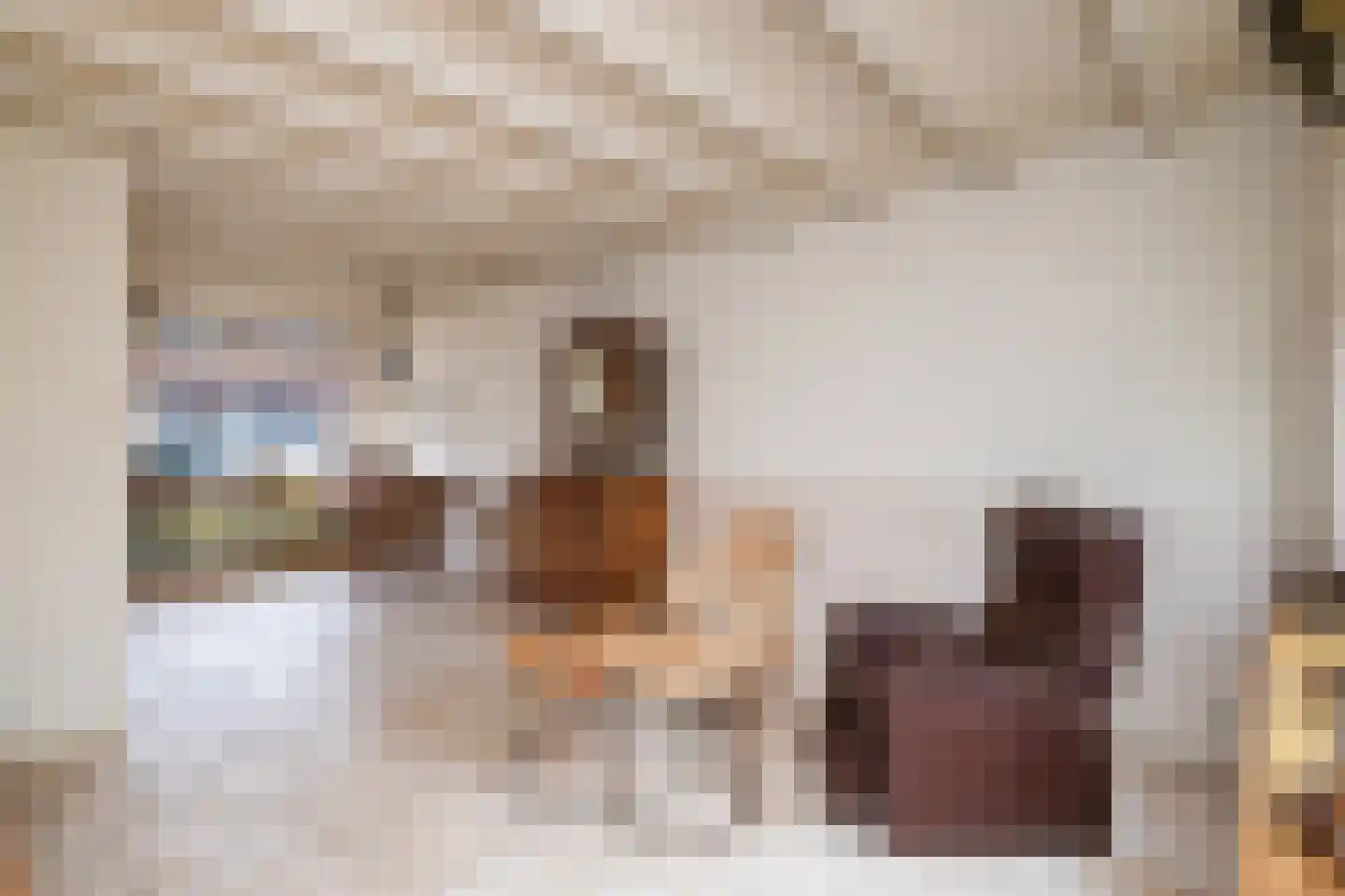 Bothastraat 4 Ridderkerk thumbnail 7