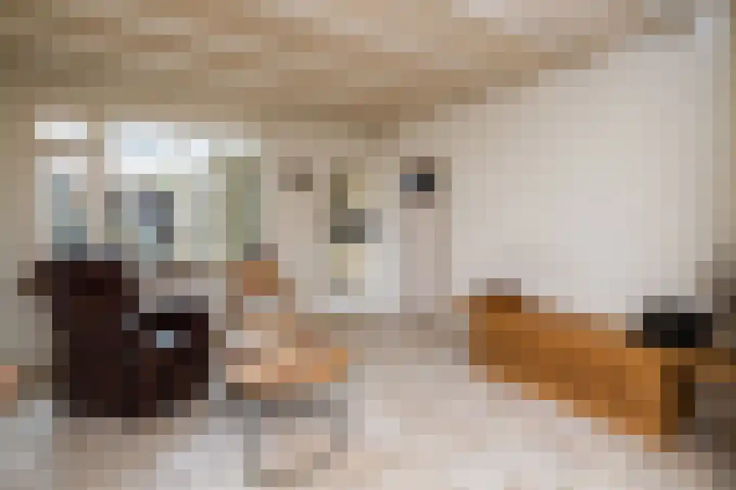 Bothastraat 4 Ridderkerk thumbnail 8