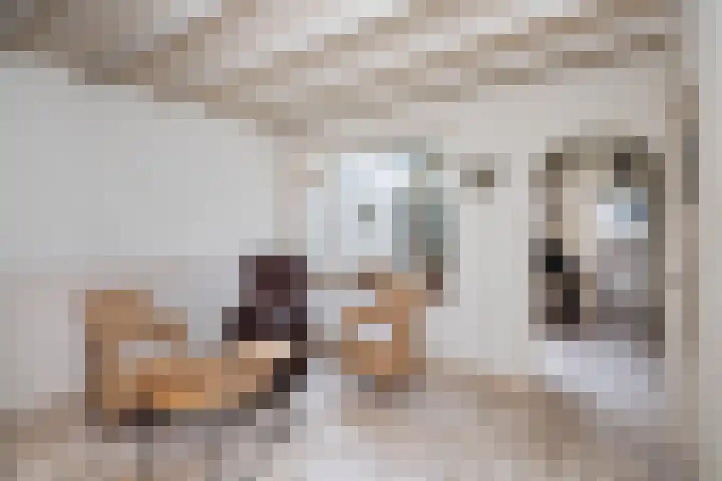 Bothastraat 4 Ridderkerk thumbnail 9