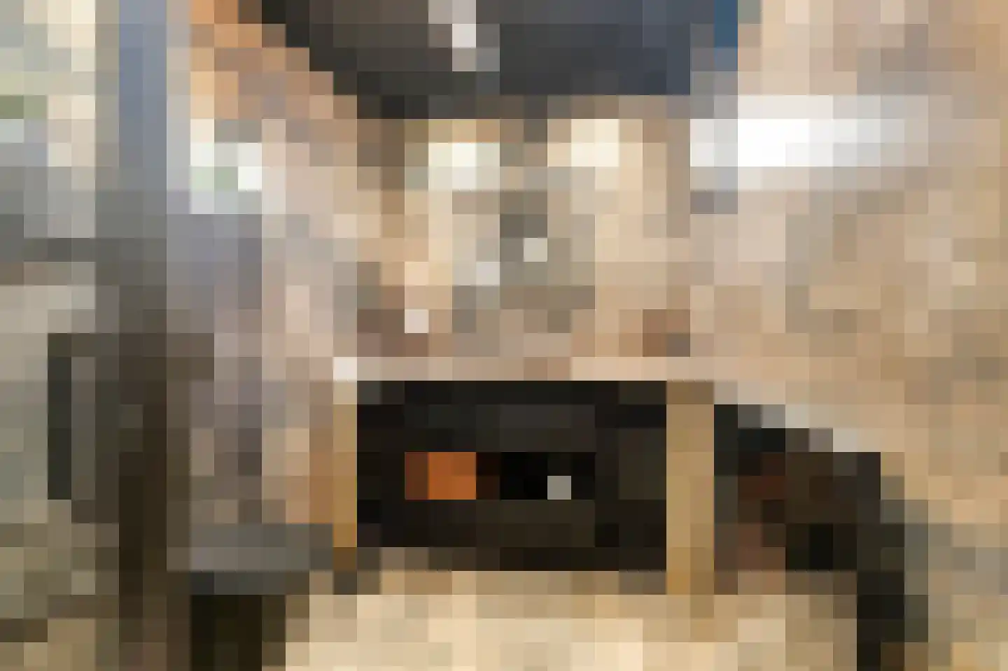 Bothastraat 40 Den Helder thumbnail 13