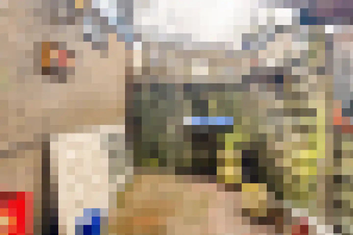 Bothastraat 40 Den Helder thumbnail 19