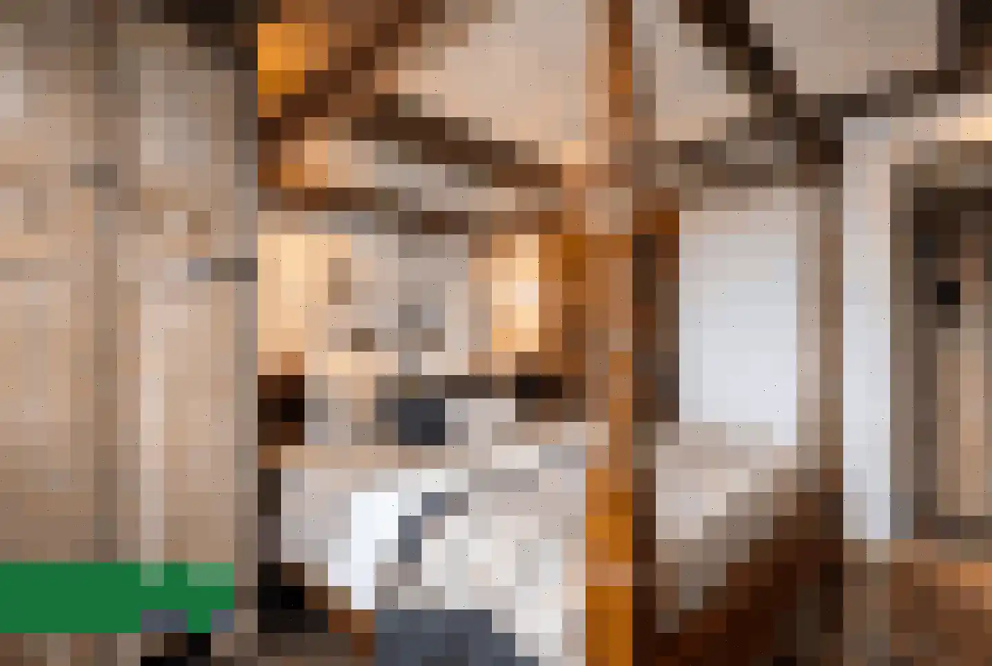 Bothastraat 40 Den Helder thumbnail 19