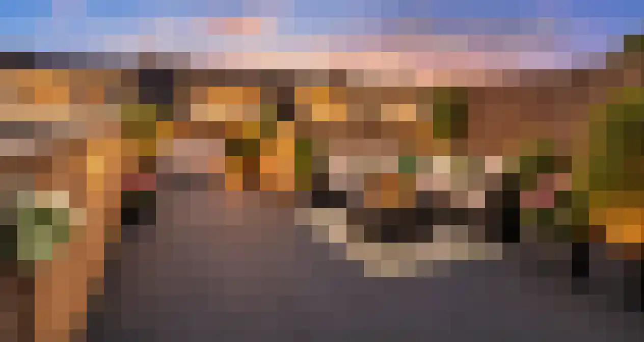 Bothastraat 40 Den Helder thumbnail 31