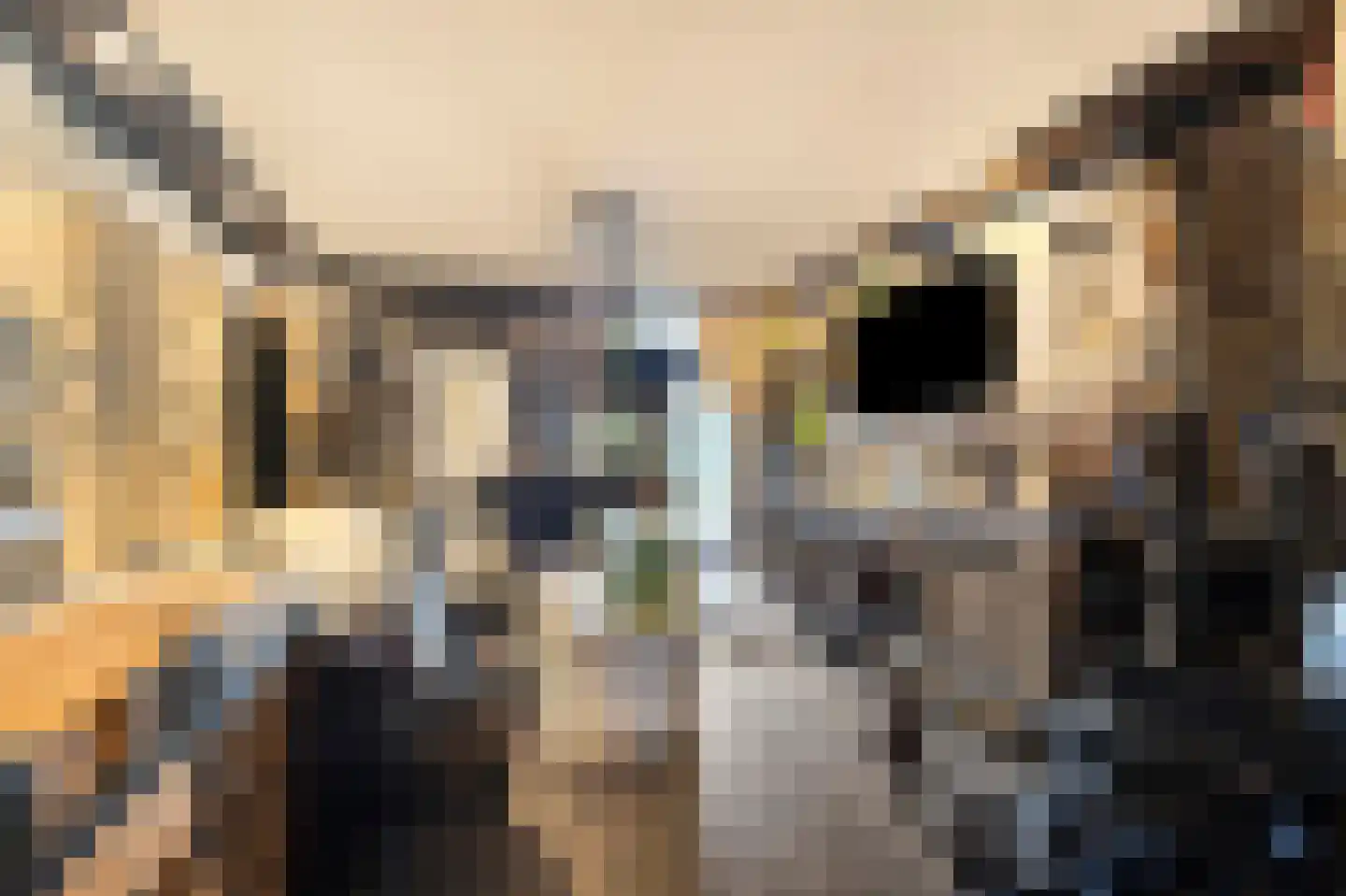 Bothastraat 40 Den Helder thumbnail 4