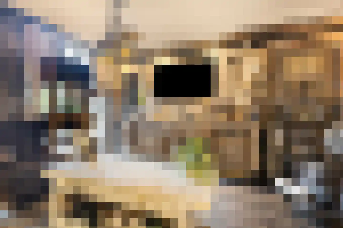 Bothastraat 40 Den Helder thumbnail 5