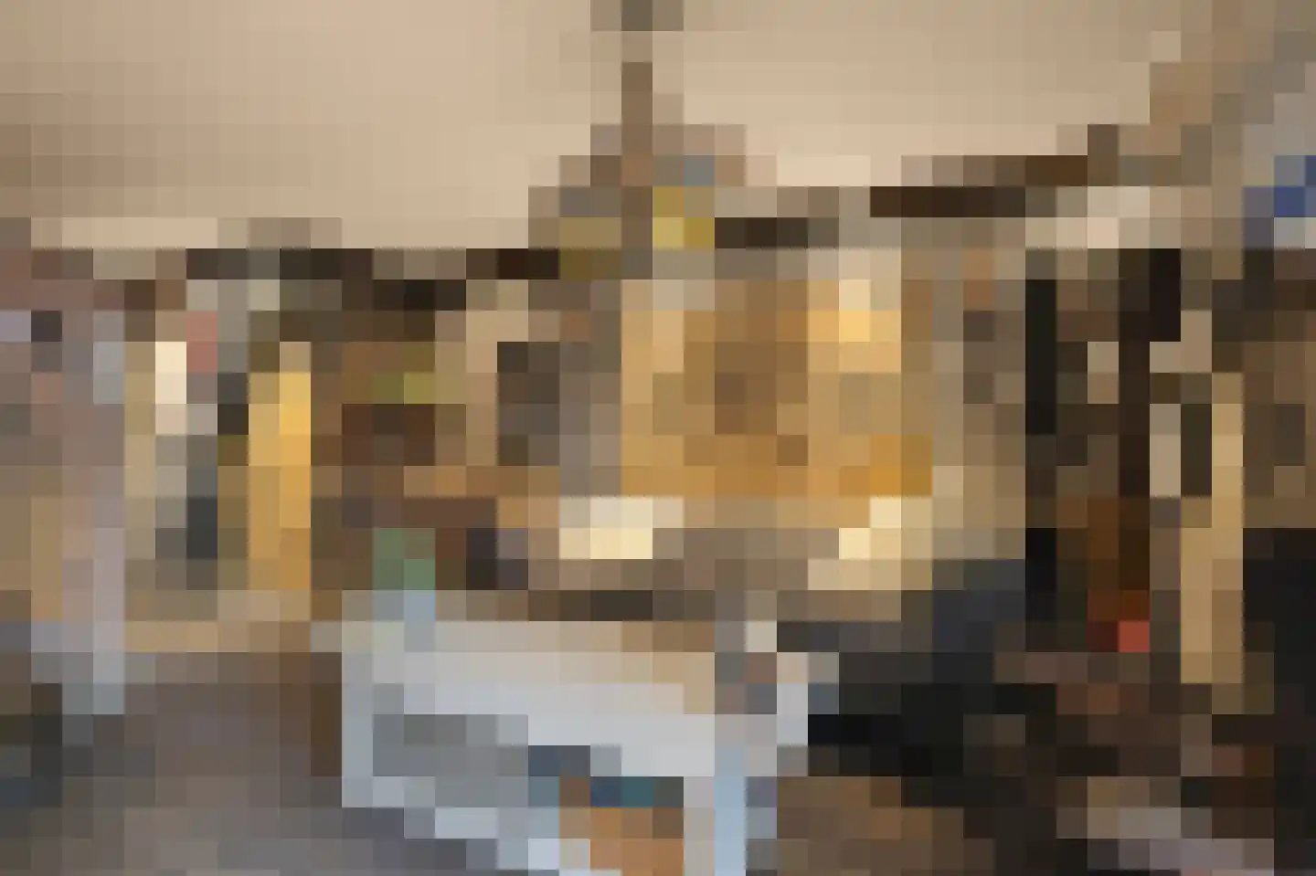 Bothastraat 40 Den Helder thumbnail 6