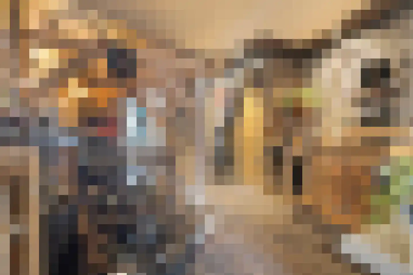 Bothastraat 40 Den Helder thumbnail 7