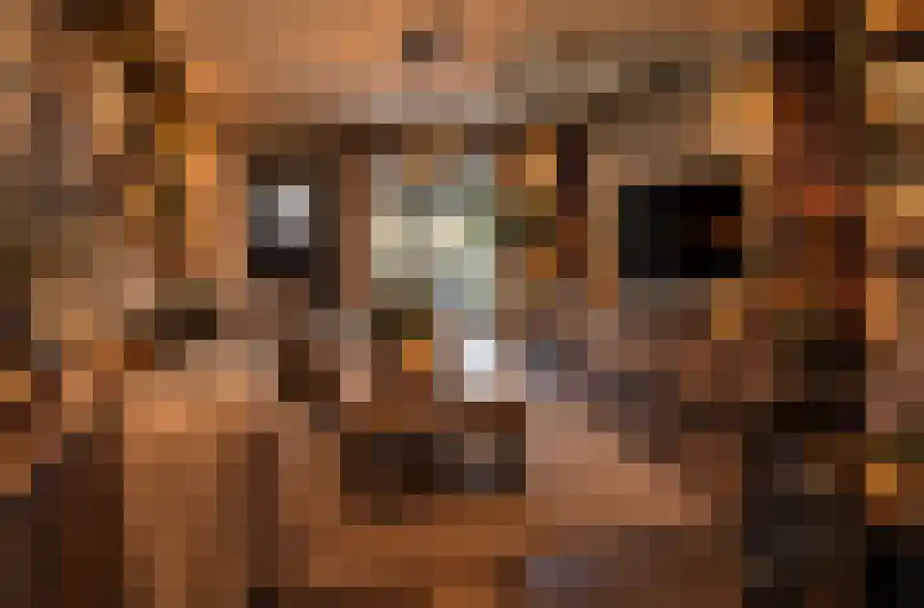 Bothastraat 40 Den Helder thumbnail 8