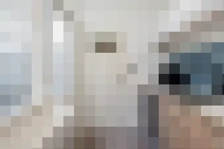 Bothastraat 43 Den Helder thumbnail 13