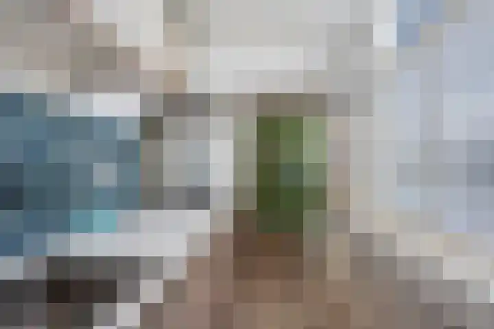 Bothastraat 43 Den Helder thumbnail 14