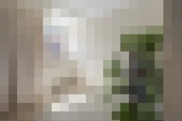 Bothastraat 43 Den Helder thumbnail 30