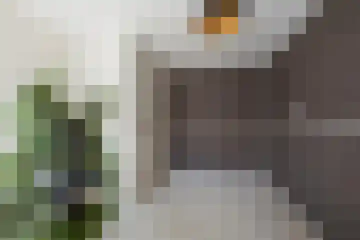 Bothastraat 43 Den Helder thumbnail 31