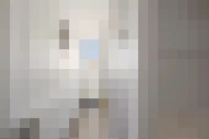 Bothastraat 43 Den Helder thumbnail 32