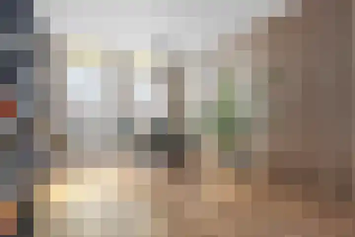 Bothastraat 43 Den Helder thumbnail 6