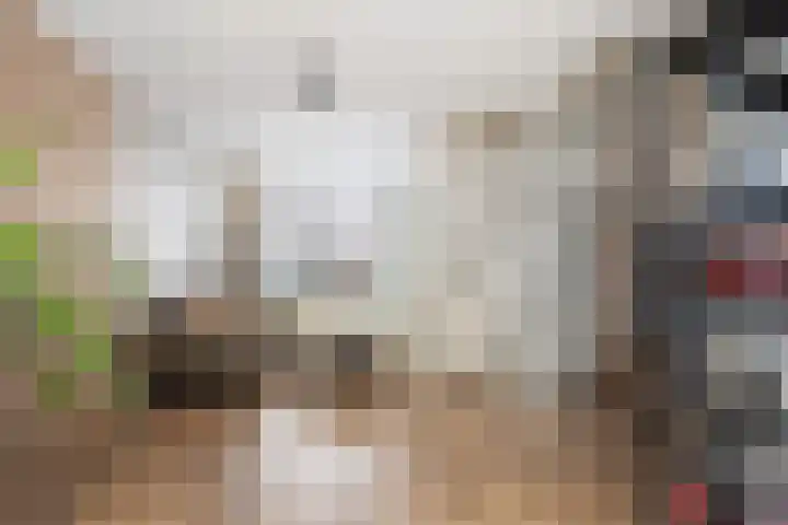 Bothastraat 43 Den Helder thumbnail 8
