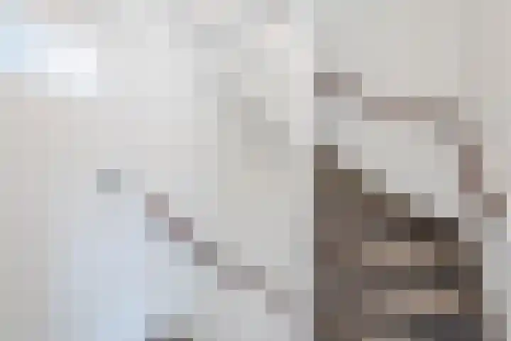 Bothastraat 52 Ermelo thumbnail 20