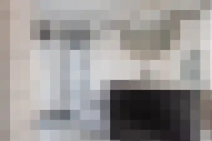 Bothastraat 52 Ermelo thumbnail 28