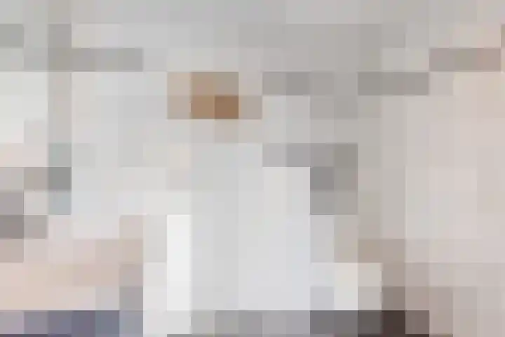 Bothastraat 52 Ermelo thumbnail 30