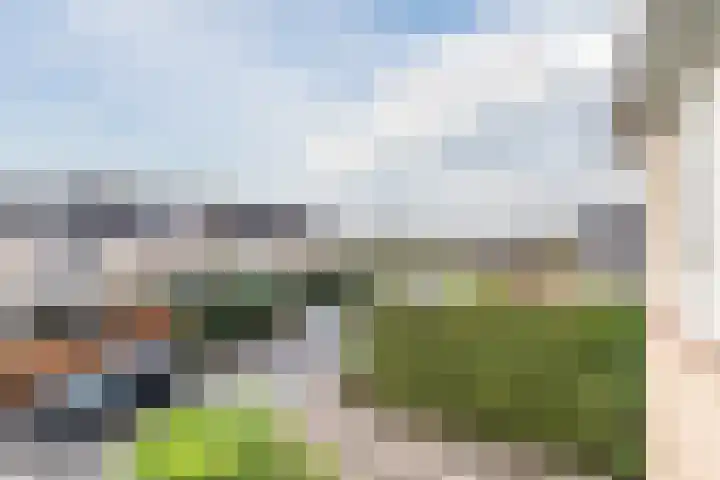 Bothastraat 52 Ermelo thumbnail 39