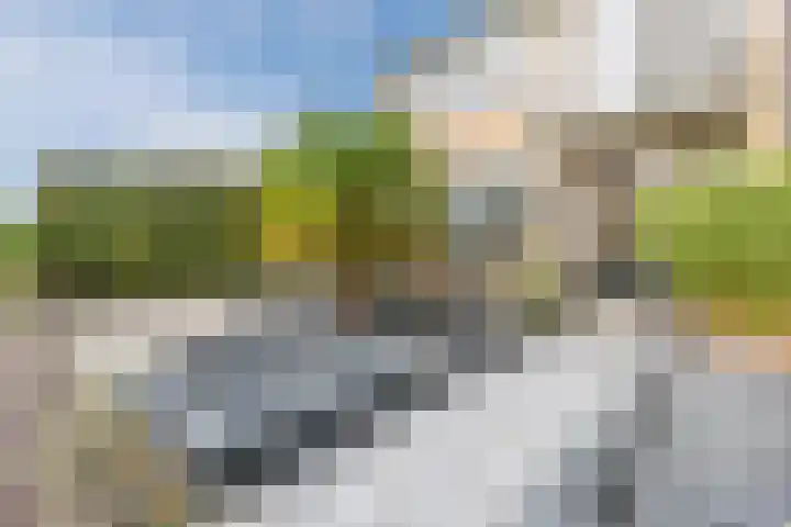 Bothastraat 52 Ermelo thumbnail 4