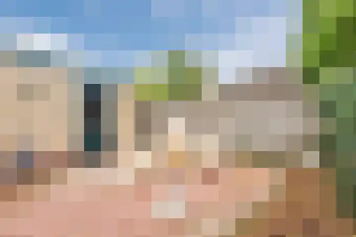Bothastraat 52 Ermelo thumbnail 43