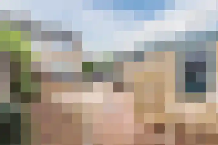 Bothastraat 52 Ermelo thumbnail 44