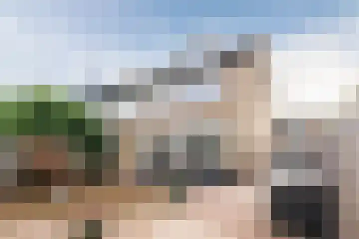 Bothastraat 52 Ermelo thumbnail 47