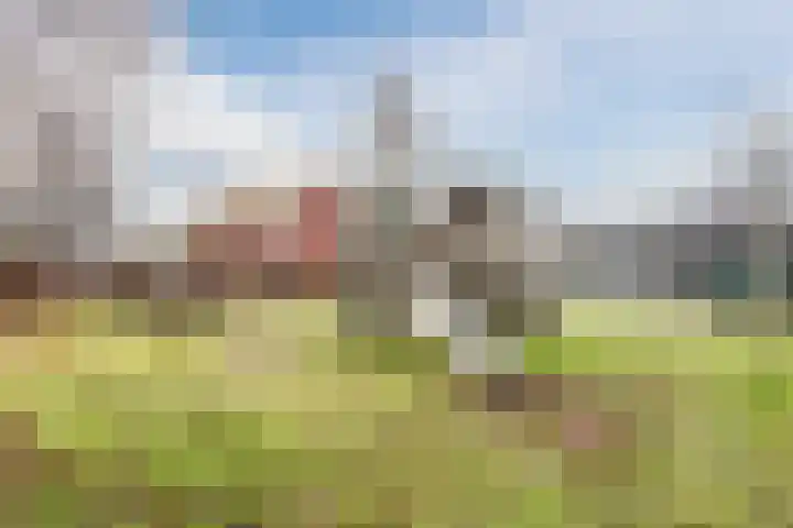 Bothastraat 52 Ermelo thumbnail 50