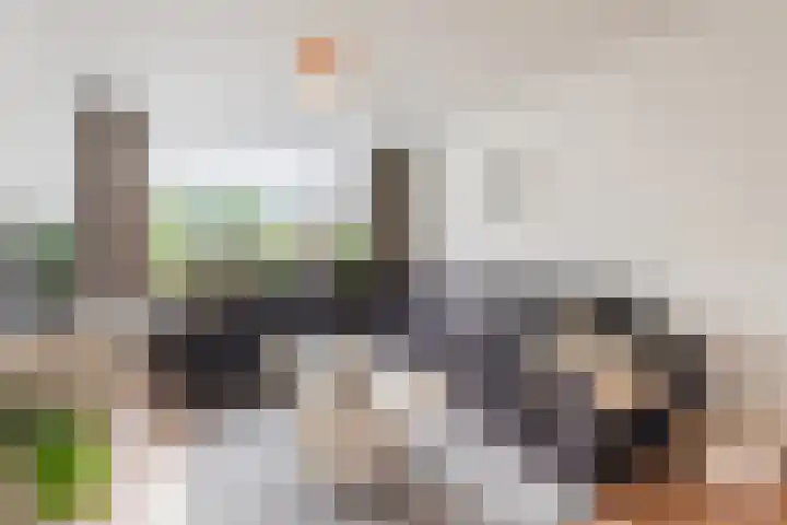 Bothastraat 52 Ermelo thumbnail 9