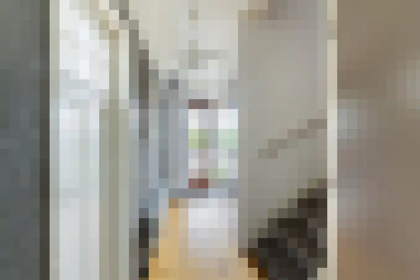Bothastraat 55 Ermelo thumbnail 11