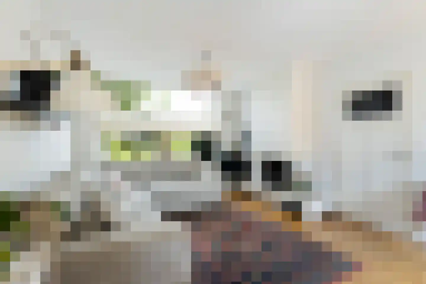 Bothastraat 55 Ermelo thumbnail 14