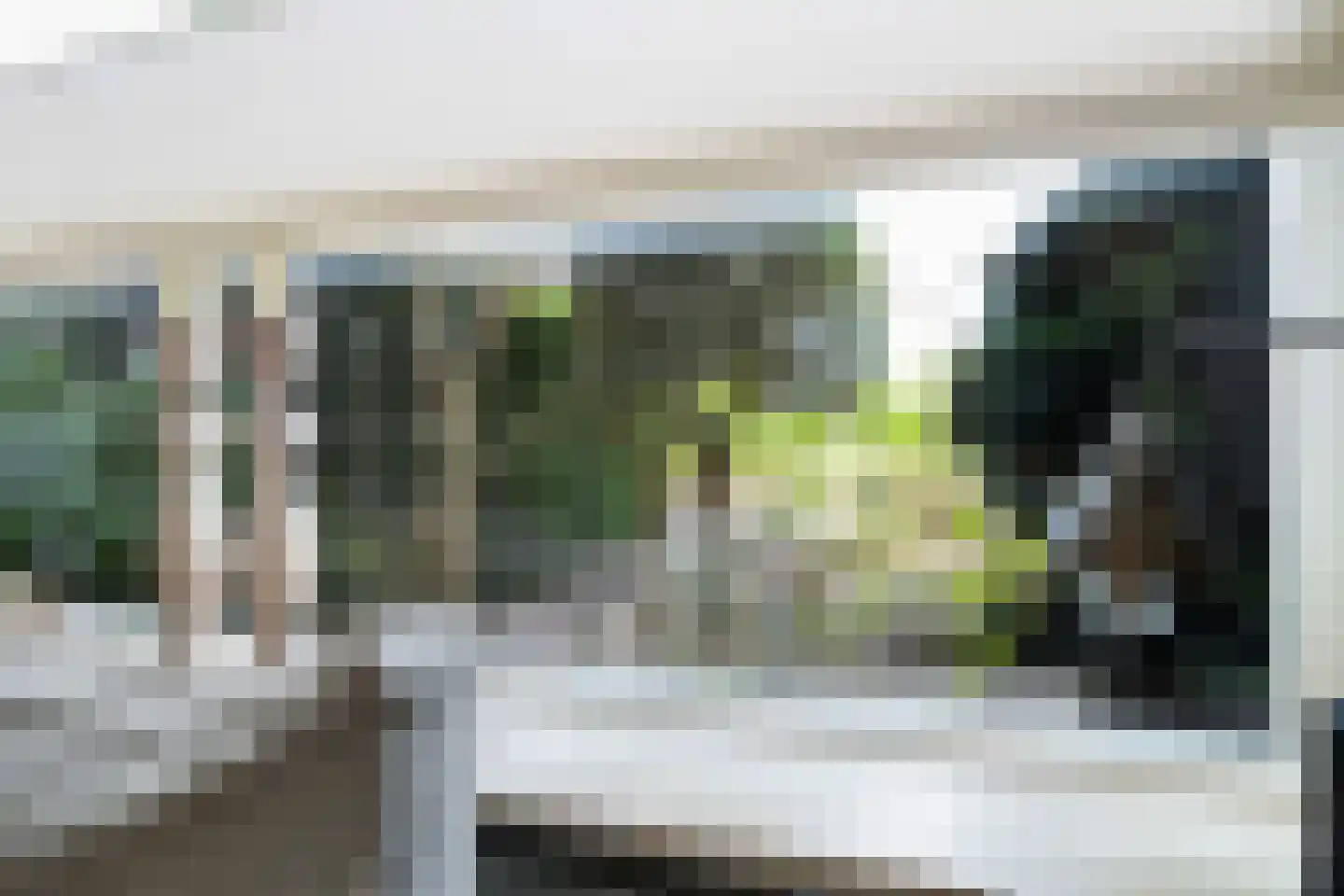 Bothastraat 55 Ermelo thumbnail 16