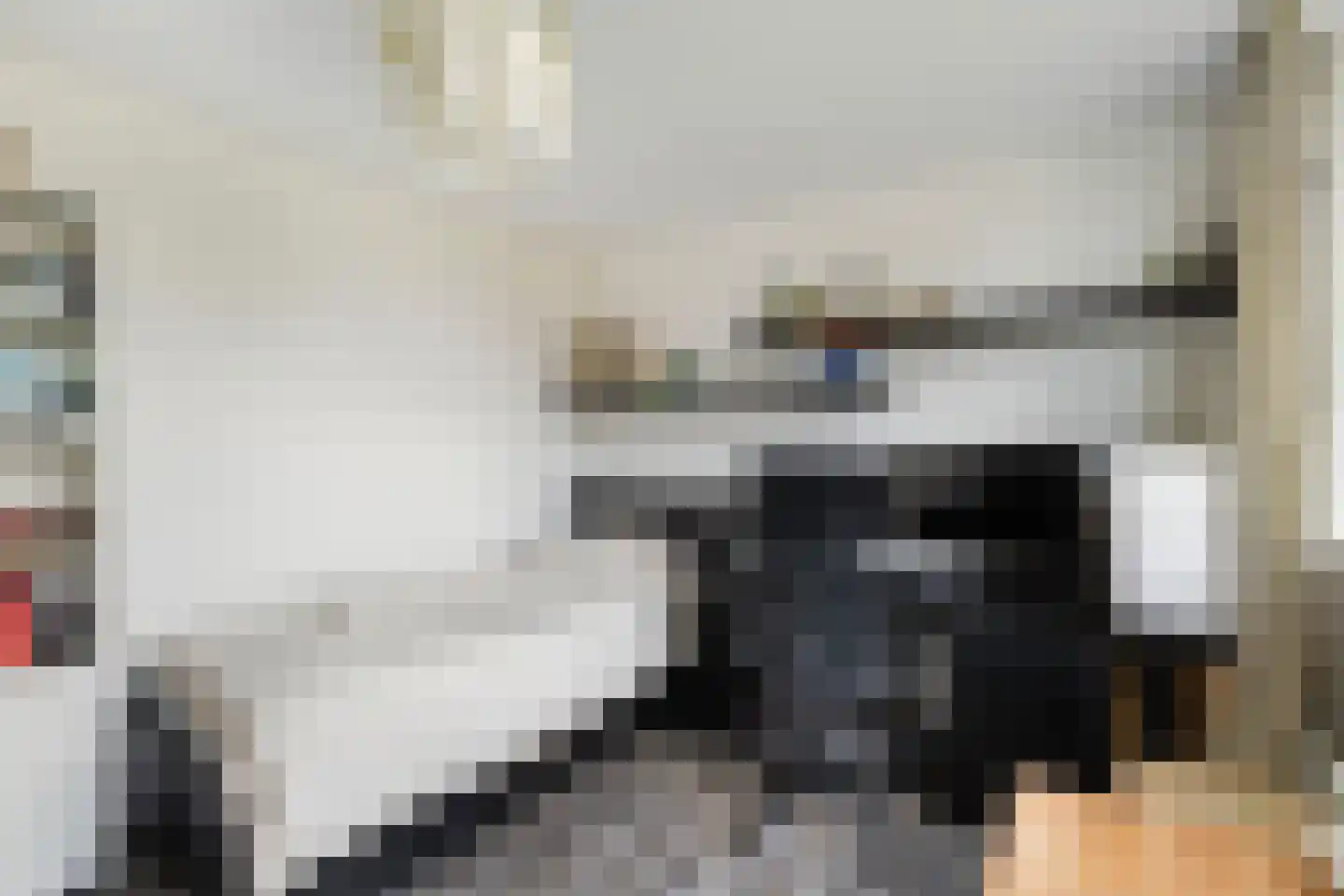 Bothastraat 55 Ermelo thumbnail 38