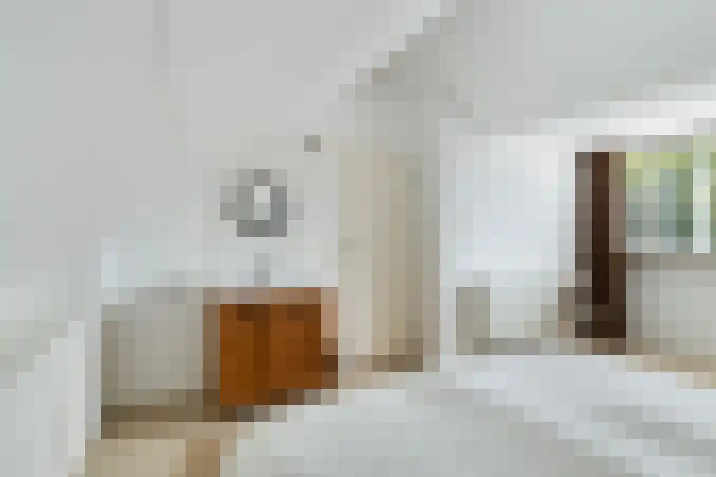 Bothastraat 55 Ermelo thumbnail 49