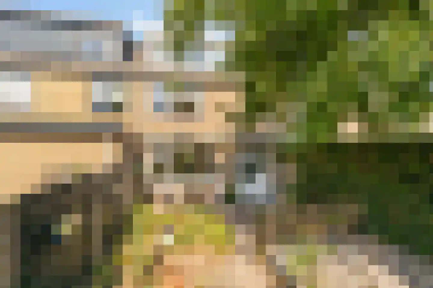 Bothastraat 55 Ermelo thumbnail 52