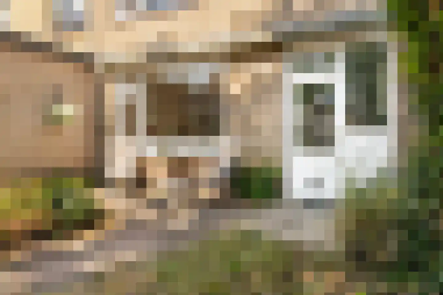 Bothastraat 55 Ermelo thumbnail 53