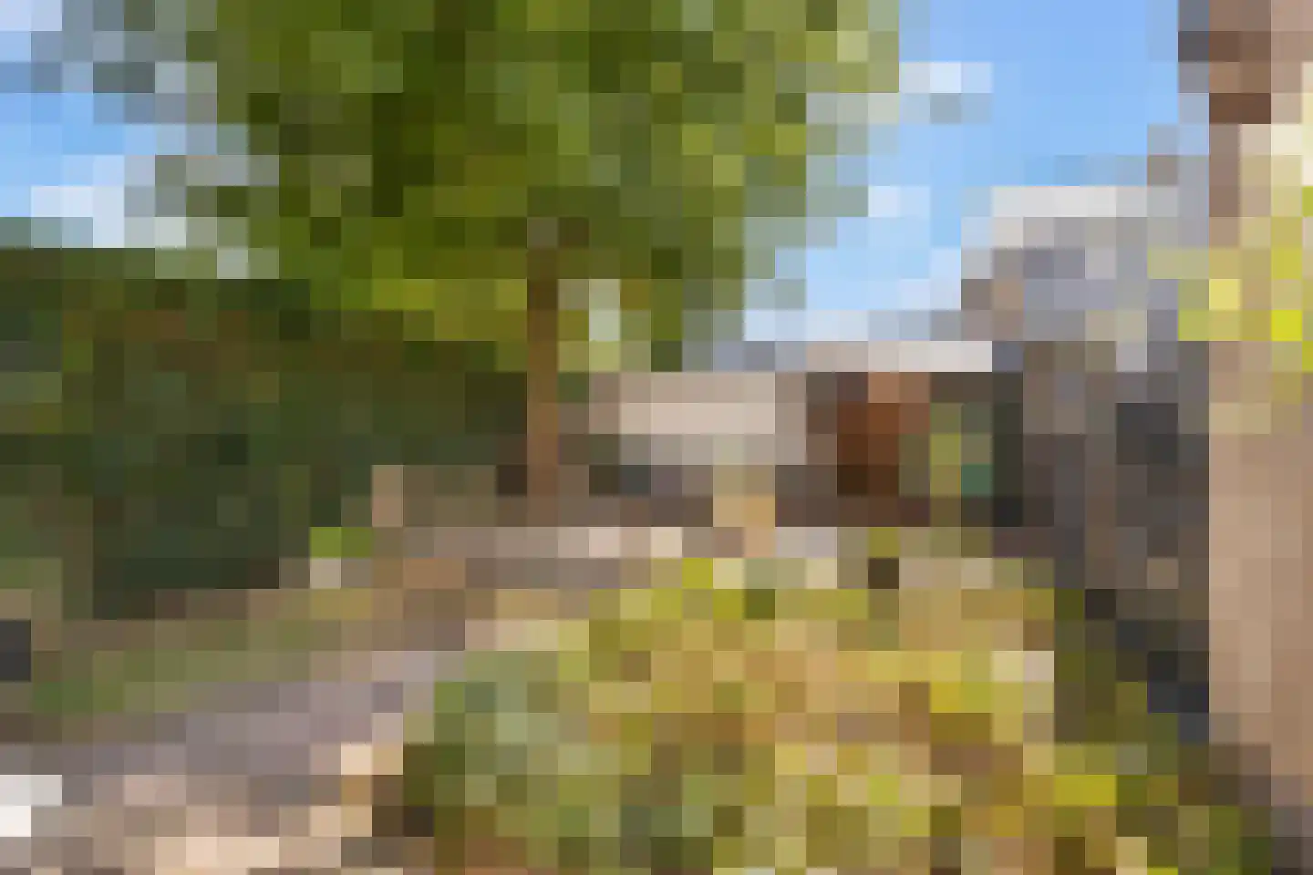 Bothastraat 55 Ermelo thumbnail 54