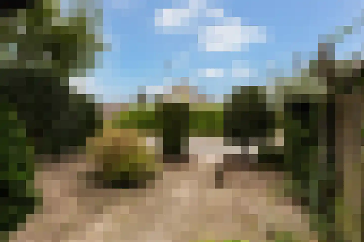 Bothastraat 55 Ermelo thumbnail 60
