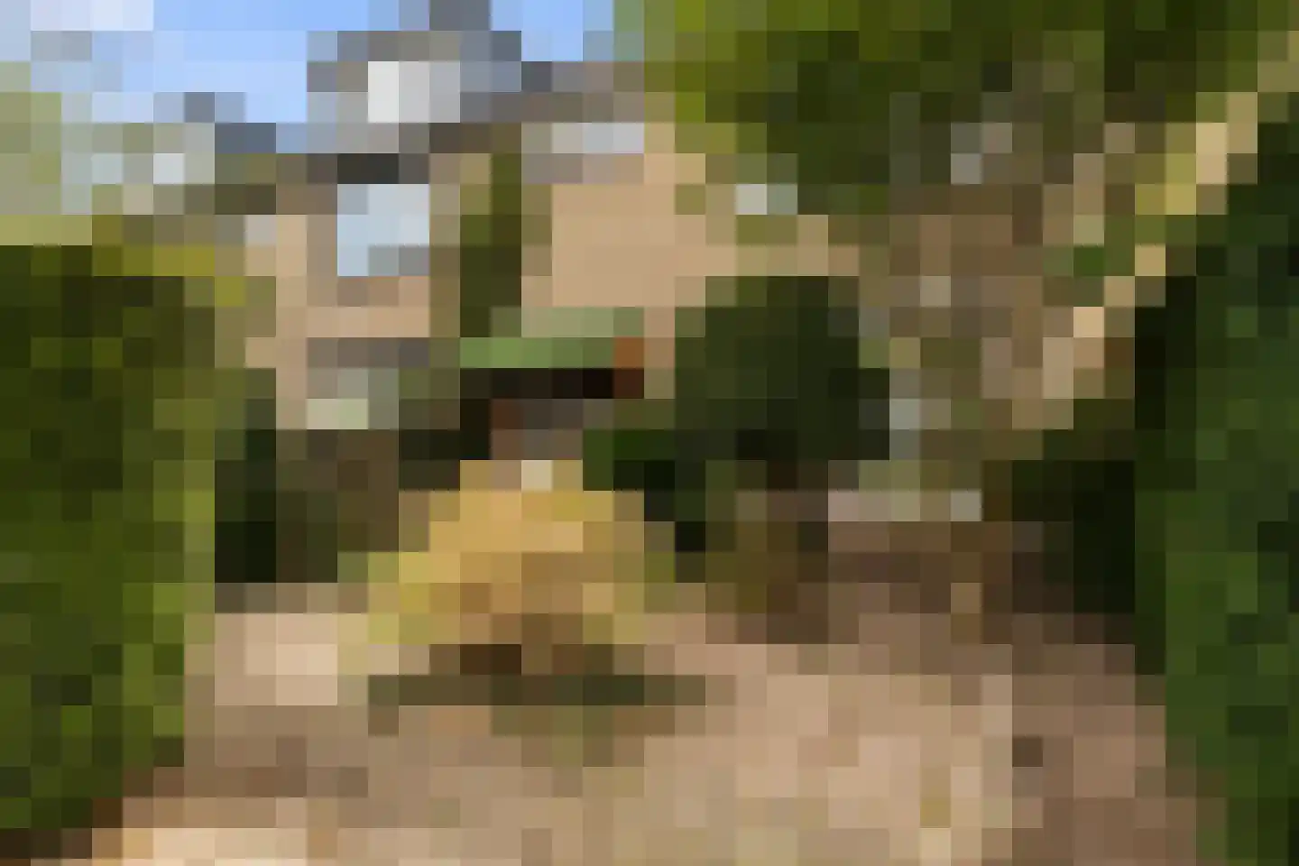Bothastraat 55 Ermelo thumbnail 9