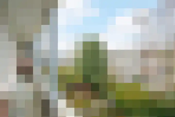 Bothastraat 6 B Breda thumbnail 20