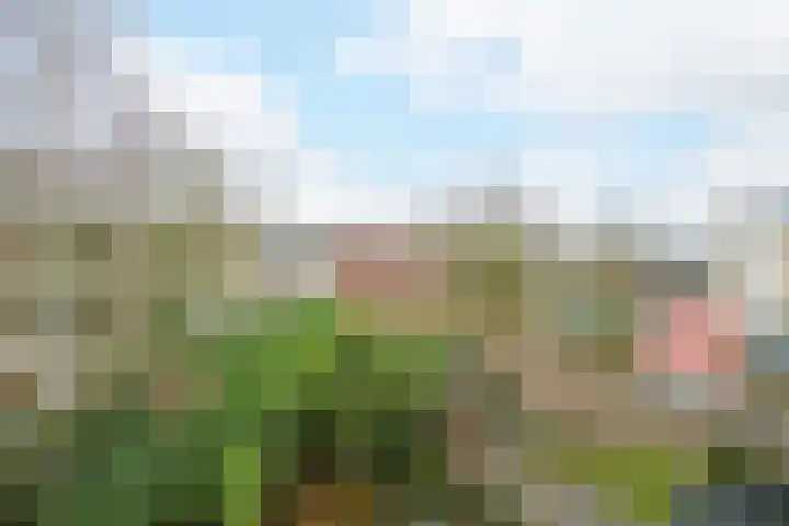 Bothastraat 6 B Breda thumbnail 21